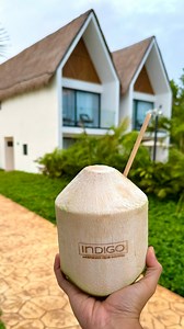 Dreams Sapphire Resort & Spa on Reels | Facebook