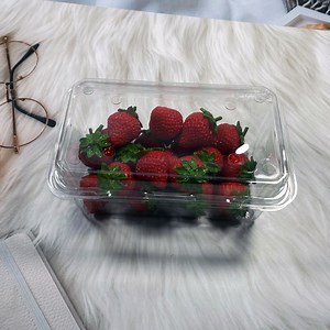 [Hot Item] Plastic Fruit Packaging Food Grade Clear Fruit Clamshell for Strawberry