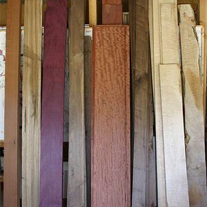 Wood Species and Tonal Quality in the Native American Style Flute