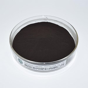 [Hot Item] Bio Organic Fertilizer Seaweed Extract Powder