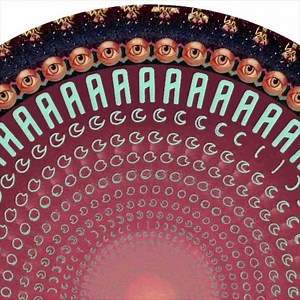 4.5K views | $21.19 | The Claypool Lennon Delirium | Facebook