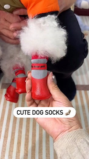 These Paw Socks are a Game Changer!. Comment section = Your shopping link! | Dog Lovers
