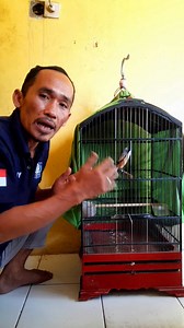 64K views · 1.2K reactions | ILMU MAHAL UNTUK PEMULA BOLO agar bisa mencetak trotol yang punya materi kwalitas bolo #jangkauan #fyp #fbpro #tutorial | Bod Bod | Facebook