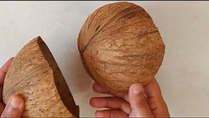 Waste coconut shell and craft ideas | A2C Arts And Crafts