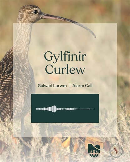 1.2K views | Bannau Brycheiniog - Brecon Beacons - National Park on Reels | Facebook