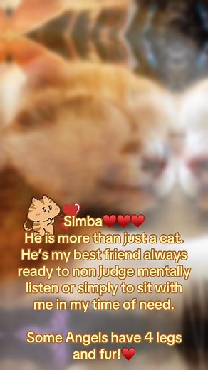 #photographybykatmariecaballero #catoftheday #catsoffacebook #ilovemycat | Kat Marie