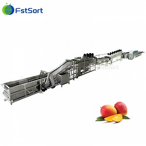 [Hot Item] Mango Weight Sorting Machine Washing Drying Sorting Equipment for Mango