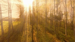 Top 20 Leo Buscaglia Quotes. @DailyQuotesHD. #LeoBuscaglia #LoveProfessor #LivingLovingLearning #LeoBuscagliaQuotes #HugTherapy #LoveEducator #SpreadLove #WisdomWednesday #InspirationalAuthor #LovingEachDay #LifeLessons #EmbraceLove #HeartfeltWisdom #LoveInAction #KindnessMatters #LeoBuscagliaLegacy #TheArtOfLoving #JoyfulLiving #PassionateLiving #GratitudeAttitude #DrLove. | Positive Quotes