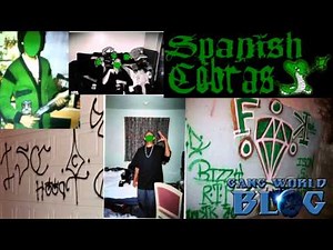 Insane Spanish Cobras History (Chicago)