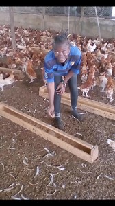 3.6K views · 52 reactions | Happy birthday Farmer Mc .it is hard in Cameroon to find women who are dedicated in the field of Agriculture and consistently working and sharing great insights You are an inspiration, imagine yourself in the next 5 years. May the Almighty God continue to keep you alive and healthy. The world needs you. #happybirthday #farmermc | Njieforti Princewill Gana | Facebook