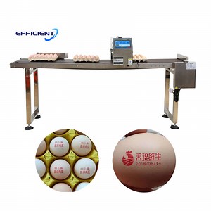 [Hot Item] Factory Price Egg Inkjet Printer Egg Date Printer Logo Coding Stamping Machine