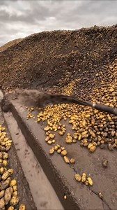 4.4M views · 573 reactions | tik tok | cartoon cartoon | gana | #tiktok | #viral | #shortsvstiktok | #youtubeshorts #maikalyt @maikal__yt | Maikal YT | Facebook