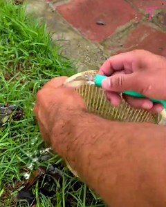 509K views · 352 reactions | La transformación de una piscina descuidada cuando el encargado entra en acción. | Fabiosa Diario | Facebook