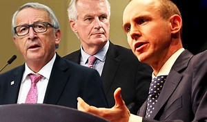 Foster: NI MUST leave EU on same terms as rest of UK