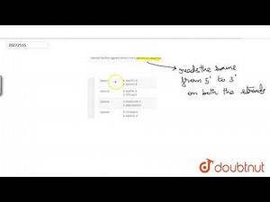 Identify the DNA segment which is not a palindromic sequence.