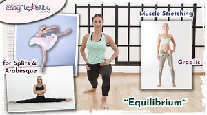 5.2K views · 48 reactions | Could Gracilis muscle be the reason you...