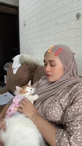 51K views · 2.6K reactions | Produknya disini  https://s.shopee.co.id/9A3XoRxtqs?share_channel_code=4 (Pororo Official Store ) #pororostore #inipororo #pororofficialstore #pororoandthegank #kucinglucu #videokucing #cicichania #produkkucing #pecintakucing #penggilakucing #tokokucing #kucingviral | fans pororo store30 | Facebook