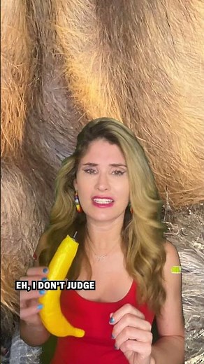 A Lesbian Monkey Love Affair