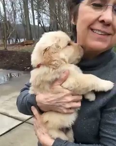 Come let me eat you up 😂😢🐶 | DogSpot