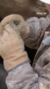 2.2K views · 43 reactions | Turquoise is a gemstone treasured the world over...and we know just where to find it!  Stream #TurquoiseFever on #CowboyWayChannel. | Western Bound | Facebook