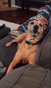 I'm alive, I'm dead.