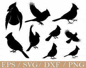 Cardinal Bird Svg, Cardinal Silhouette, Dxf, Png - Etsy