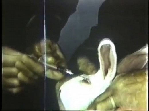 WARNING VERY GRAPHIC US Army Nerve Agent Weapons Experiments on Rabbits