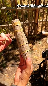 . Eggplant Wrap. | Cooking Videos Food