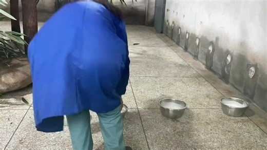 おすすめのアカウント