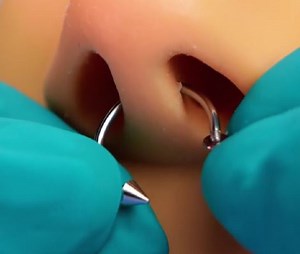 827K views · 1.3K reactions | Stylish septum jewelry to highlight your individuality | Wood Mood | Facebook