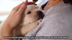 6 comments | Raised lumps on your beloved skin may seem harmless...