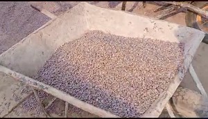 2.7K views · 166 reactions | -KINSHASA | En direct depuis MITENDI lundi 17 juin 2024. | Kimbangu International | Facebook