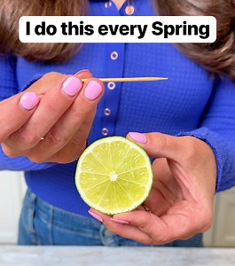 862K views · 2.1K reactions | Diy candle for pests 烈 Liz creates a citrus and clove candle to help repel pests in small outdoor spaces. This original video was produced by Network Media LLC, and Liz & Jeff. #pestcontrol #candlemaking #limes #bugs | Liz & Jeff | Facebook