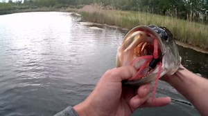 Delong Lures - The Squirm Fishing Lures - Ultimate Bass Fishing Kit - Weighted Jigs for Freshwater & Saltwater, Large Swimbait Lures - Made in USA