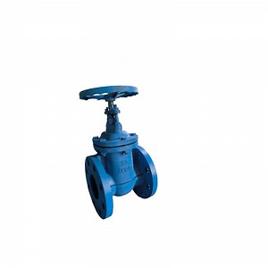 [Hot Item] Premium JIS Cast Iron Flanged Gate Valve with Bronze Trim