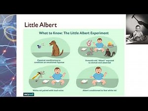Behavioural Approach to Explaining Phobias