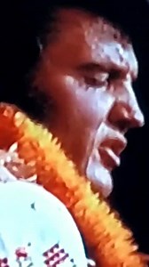 Elvis Presley ...Fever .... Aloha from hawaii | Luciano Bollini