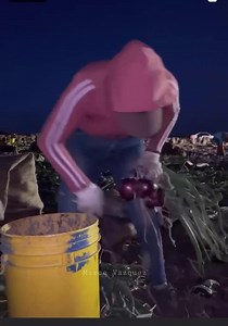 ASI TRABAJA LA MUJER MÁS RÁPIDA CORTANDO CEBOLLA DE NOCHE 🇺🇸 🧅 las Mujeres también Pueden 👏🏼 | Distrito Centro