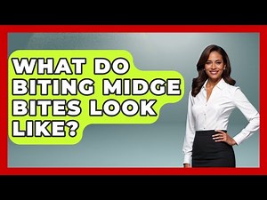 What Do Biting Midge Bites Look Like? - Insects and Invaders