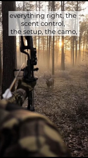 Scent Still Rules the Woods Invisible Hunter Scent Elimination Find it on Amazon. | Zone Protects