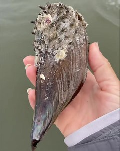 26 reactions | Educational Programs on Marco Island Half-naked pen...