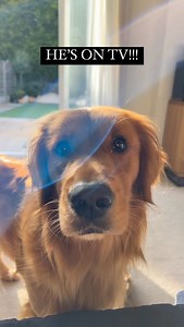 Jack Laugher on Reels | Facebook