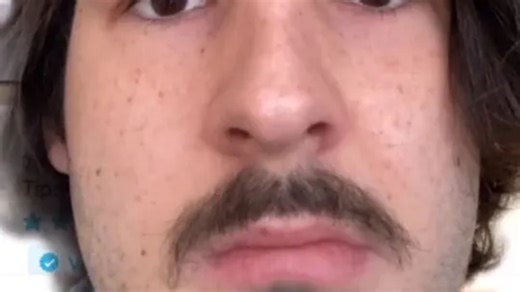 Shopper vows to never order from Wish after an '8ft' pine turns into a big fail