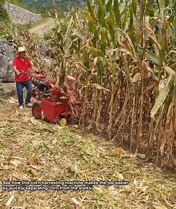 Corn Harvesting Machine in Action! | ThoughtPulse | Facebook
