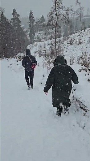Wear the Fox Hat!? Falls of Bruar. #snow #scotland