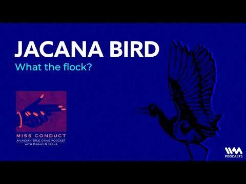 Miss Conduct S4 Ep 06: Jacana Bird