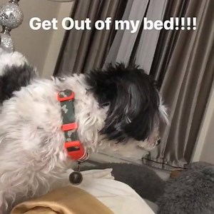 Jacque Reid on Reels