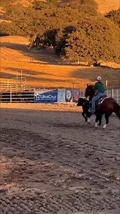 The slower you go, the more you see. #chelseytrickropes #cbtrickroping #roping #horses #ropehorses #fyp #headhorse #heelhorse Cactus Ropes 7K Roping Simply Equine & K9 Equinety | Chelsey Bushnell Trick Roping