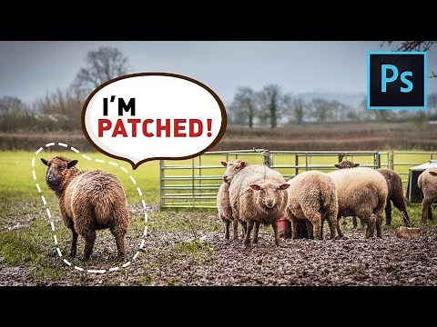 The Patch Tool: Does More than You Think | Complete Photoshop Guide