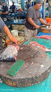 639K views · 2.8K reactions | Early morning tuna butchery for restaurant orders #Cuttingtuna #Fishcutting #seafood #Cooking #reels #fyp | Harun | Facebook